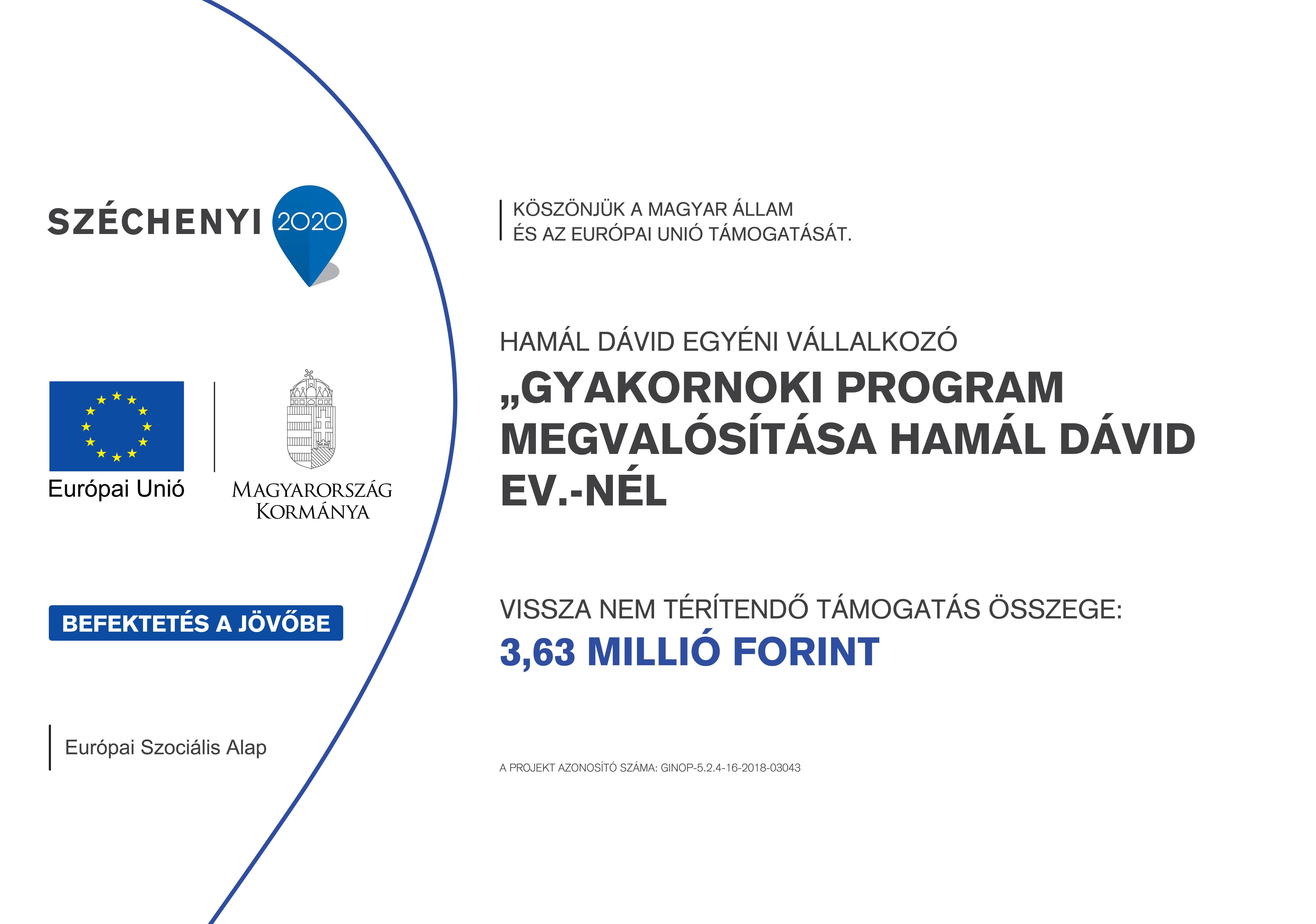 Gyakornoki program támogatása